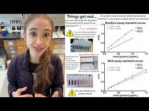 Overview of protein concentration determination methods (Bradford, BCA, UV280, etc.) – pros & cons