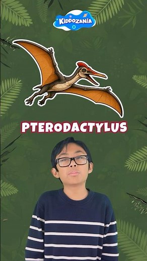 Top 6 Pterosaurs for Kids | Learn Flying Reptiles of the Dinosaur Age