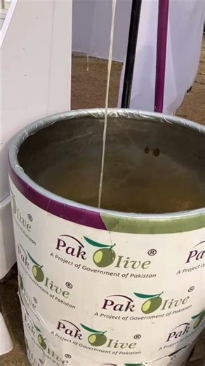 olive oil extraction|pure olives oil processed