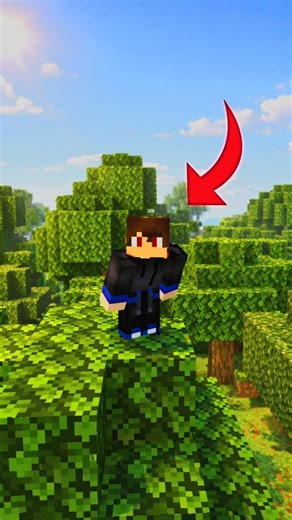 MINECRAFT FIRST VERSION 🤒🤧