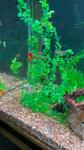 Got some fish in it finally | Donna J. Mitchell