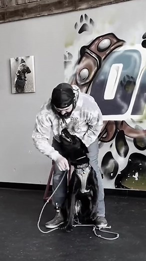 🐾 Unleash Your Pet's Potential with Off Leash K9 Training! 🐶Looking to transform your family pet into a well-behaved, confident companion? 🌟 Our Off Leash K9 Training offers a range of benefits that you and your furry friend will love:🔹 **Ultimate Control:** Say goodbye to leash tugging! Our training empowers your pet to follow commands even without a leash, ensuring their safety and your peace of mind.🔹 **Stronger Bond:** Experience the joy of better communication and understanding between