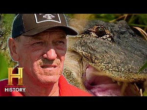 Swamp People: 11-Foot Monster Gator is a Big Win (Season 15) | History