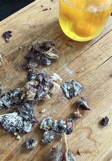 Moldy, aged, and packed with life. This isn’t just leftovers, it’s a powerhouse of enzymes and deep fermentation. Lamb leg and beef sirloin from March 1st, coated in natural molds, paired with raw butter and eggs. Some fear what they don’t understand… I just eat. Would you try this? #fermentedmeat #highmeat #rawprimal #ancestraldiet #moldyeats #enzymepower #guthealth #rawnutrition #ancestralfoods #nose2tail #primalgut #agedmeat #deepfermentation #comidafermentada #altocarne #dietaancestral #carn