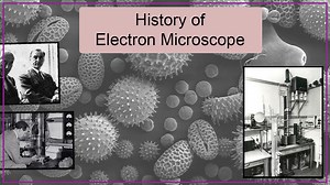 Electron Microscope History: Invention & Developmnet (1931)