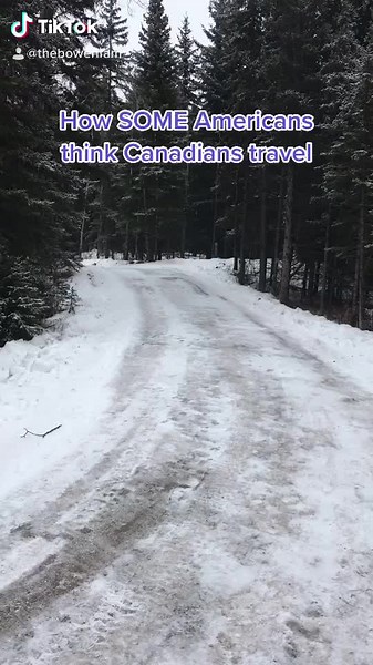 Yes. I was actually ask if we use #dogsled while in the US. #yyc #fyp #goldenretrieverlife #weimaraner #TastyTreats #GraphicDesign #canadian