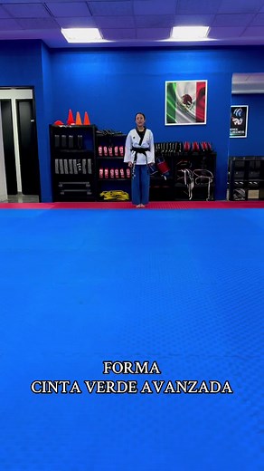 Cinta Verde Avanzada en Taekwondo: Formas y Nombres