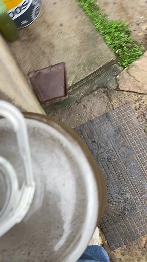 Creative Heart-Shaped Container Close-Up Shots