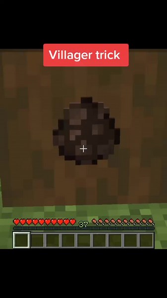 Easy Method to Lure Villagers in Minecraft