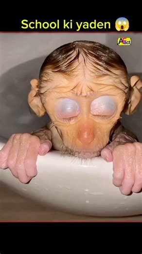 Memories School ki yaden 🏫