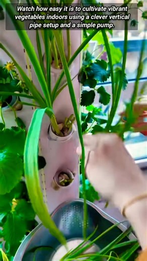 Build Your Own Space Saving Vertical Hydroponic Garden System
