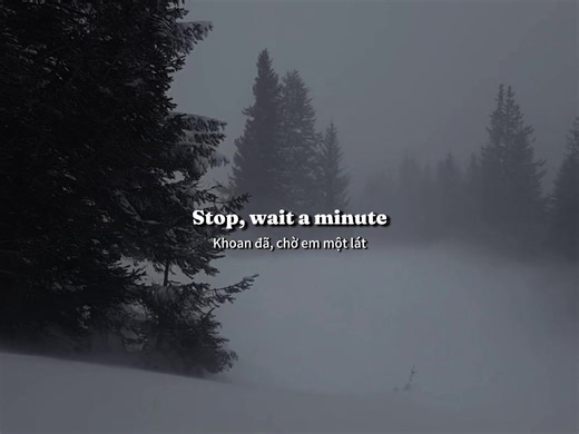 “stop, wait a minute..” #lyrics #vietsub #fyp