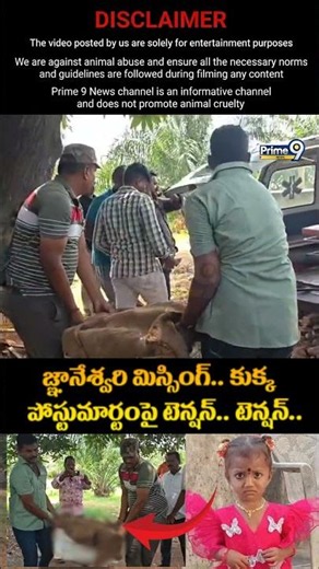 Kakinada Girl Jahnavi Missing Case : జ్ఞానేశ్వరి మిస్సింగ్.. కుక్క పోస్టుమార్టం పై టెన్షన్.. టెన్షన్