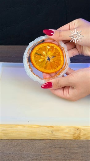 Creative DIY fruit themed coasters🍊 | Wildly Creative