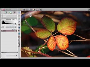 SilverFast 8.5 - Image Automatics (English)