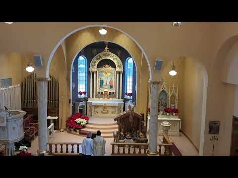 LSB 402 The Only Son from Heaven