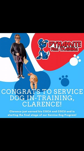 2.9K views | Dynamite Dog Training on Reels | Facebook