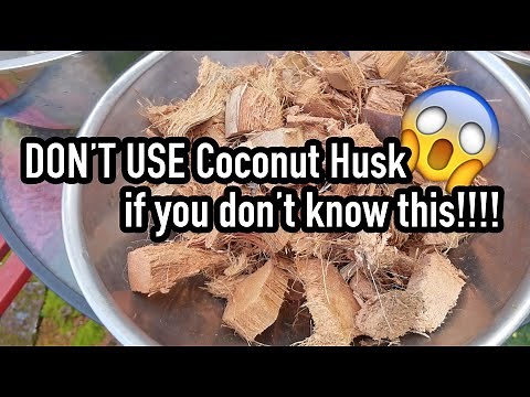 Don't use Coconut Husk if you don't know this!!