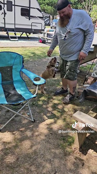 Testing out the new #arcadiadogshoes with Frankie and @Hoss
