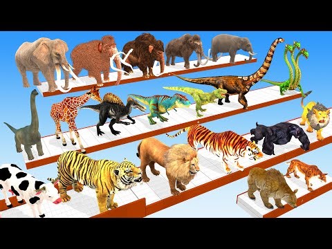 4 Hero's vs Gaint Wild Animals Death Fight Animals Revolt Battle Simulator|Animals Doodles |Arbs