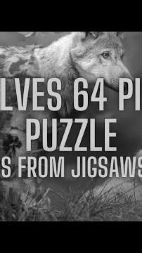 Wolves 64 Piece Puzzle