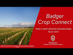 Badger Crop Connect 2024:Interacting with WI's Insect Pest Network and Alert System with Emily Bick