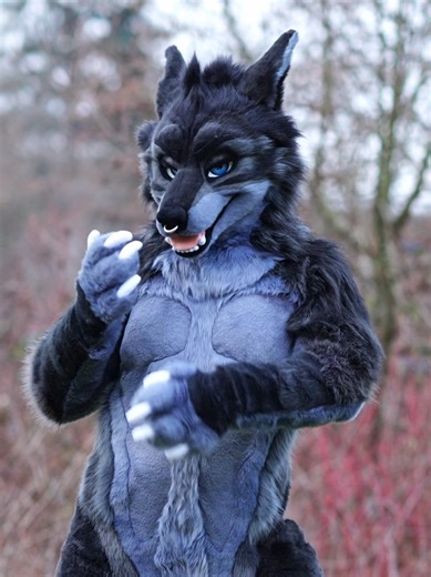 Fullsuit commission complete for Clint the werewolf! #furry #fursuit #furries #fursuitmaker #furryfandom