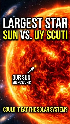 The LARGEST Star in the Universe! 🤯 (UY Scuti)