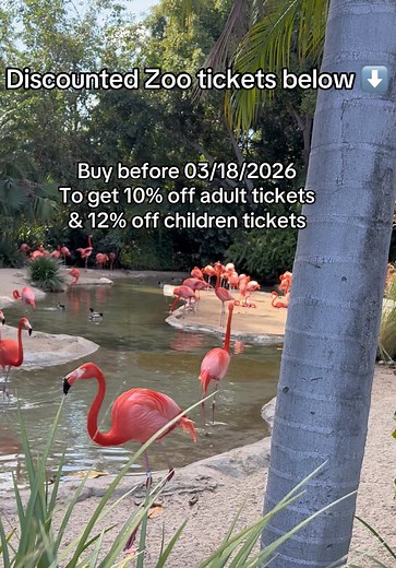 Discounted San Diego Zoo Tickets Available Now!
