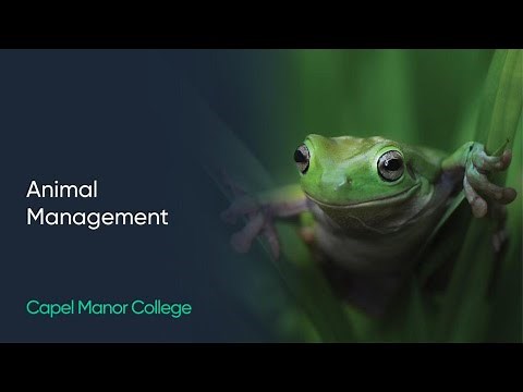 Animal Management at Capel Manor College