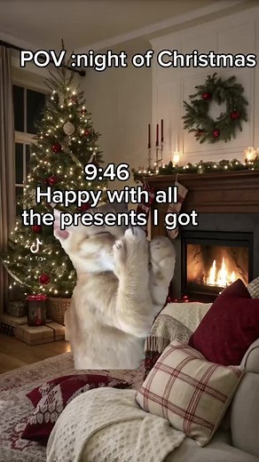 Christmas Cat Memes and Hilarious Holiday Hauls