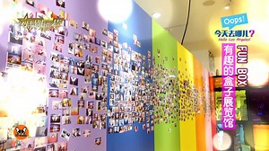 Oops! 今天去哪儿？ - 洛杉矶Fun Box (有趣的盒子) 网红必去的展览馆