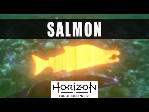 Horizon Forbidden West Salmon location - How to get Salmon bones