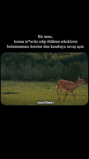 sinefilmtv on Instagram: "Mildred Hayes’ın kızı öldürülmüştür. Dava ise uzun zamandır devam etmesine rağmen hala bir suçlu bulunamamıştır. Kadın bunu kesinlikle kabullenemiyordur. Son dava görüleli aylar geçmiştir ve kızını öldürenler hala dışarlarda bir yerlerdedir. Ama Mildred yine de pes etmemeye kararlıdır. Ne olursa olsun suçluları bulacaktır ve cezalarını çekmelerini sağlayacaktır. Bunun için hızla çalışmalara başlar. İlk iş olarak bulunduğu kasabada yer alan üç tane billboard kiralar. Bu 