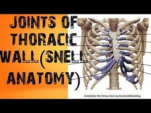 joints of thoracic wall(snell anatomy)