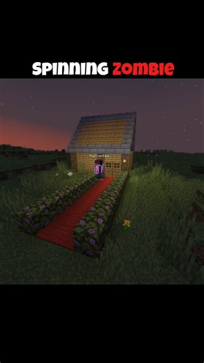 Minecraft Spinning Zombie 😱