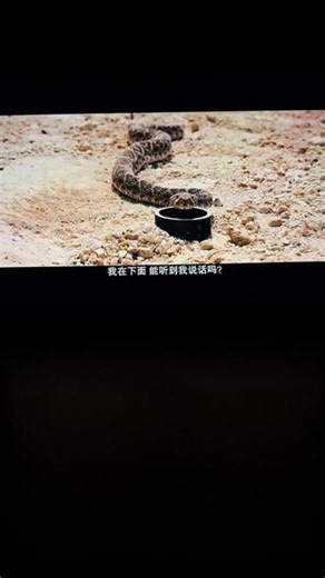 熬夜看亢奋 第七集确定不是恐怖片吗 很突脸 #电视📺迷 #亢奋 #亢奋第三季 #美剧