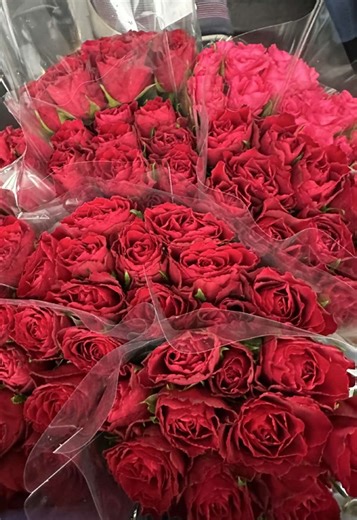Valentijn bij Izzi? Dat vieren we nét even anders met rozen🌹, een exclusieve 4-gangen diner en heel veel liefde ❤️ Extra bijzonder: onze zoete puinhoop voor twee, een uniek dessert dat live aan tafel wordt gecreëerd zonder bord! ✨ Nog maar 1 dag tot Valentijn 💌 De perfecte avond om samen te genieten en elkaar iets extra’s te geven. Reserveer snel of bel voor de laatste plekjes 🥰