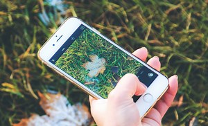 City Nature Challenge UK