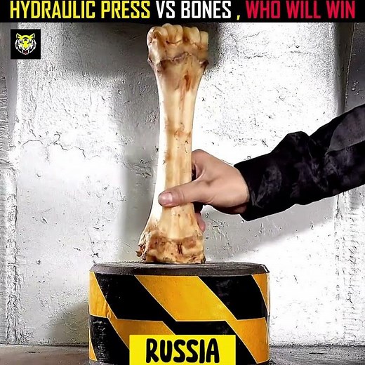 HYDRAULIC PRESS VS STRONGEST HUMAN BONES 🤯 WHO WILL WIN 💥 #shorts #usa #shortfeed