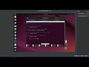 Shell Scripting Basics
