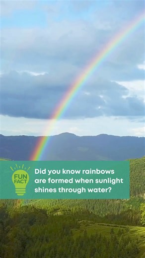 🌈 The light reflects off water droplets and bends, called refraction, before splitting into the beautiful seven colors called the light spectrum! ✨ Our science tutoring programs can help your teens grasp complex concepts and abstract thinking skills in physics. Learn more: https://bit.ly/3KyBsL3 #HuntingtonHelps #LightSpectrum #sciencetutoring #STEMEducation | Huntington Learning Center