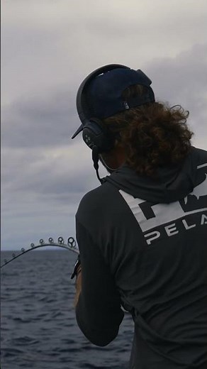 Castigo Expedition: Magdalena Bay