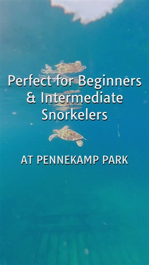 Inside John Pennekamp Coral Reef State Park, Perfect begin or intermediate snorkeling