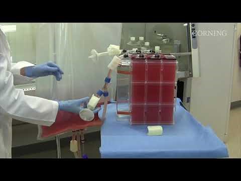 Scale-up with Corning® HYPER Technology