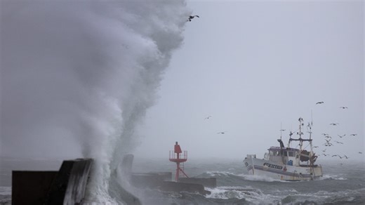 Tempête Benjamin: fortes vagues, chutes d'arbres... Les images impressionnantes des intempéries qui frappent la France