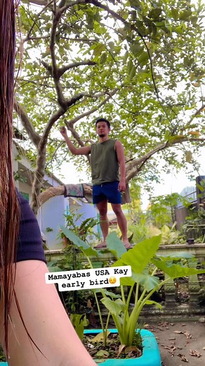 Manghatag Meg bayabas Sa first commenter😆 | LadyMae Pancho Calzado