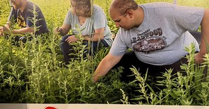 New Growth Project: Farm cultivates jobs to grow skills, confidence for those with disabilities