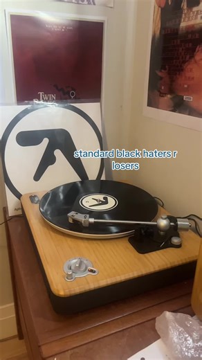 “but muh album will have no heccin personality waaah” the personality of the album is in the music 😭 #fyp #music #vinyl #records