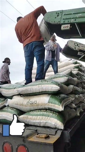 que paregito sebe el trabajo animo plebada